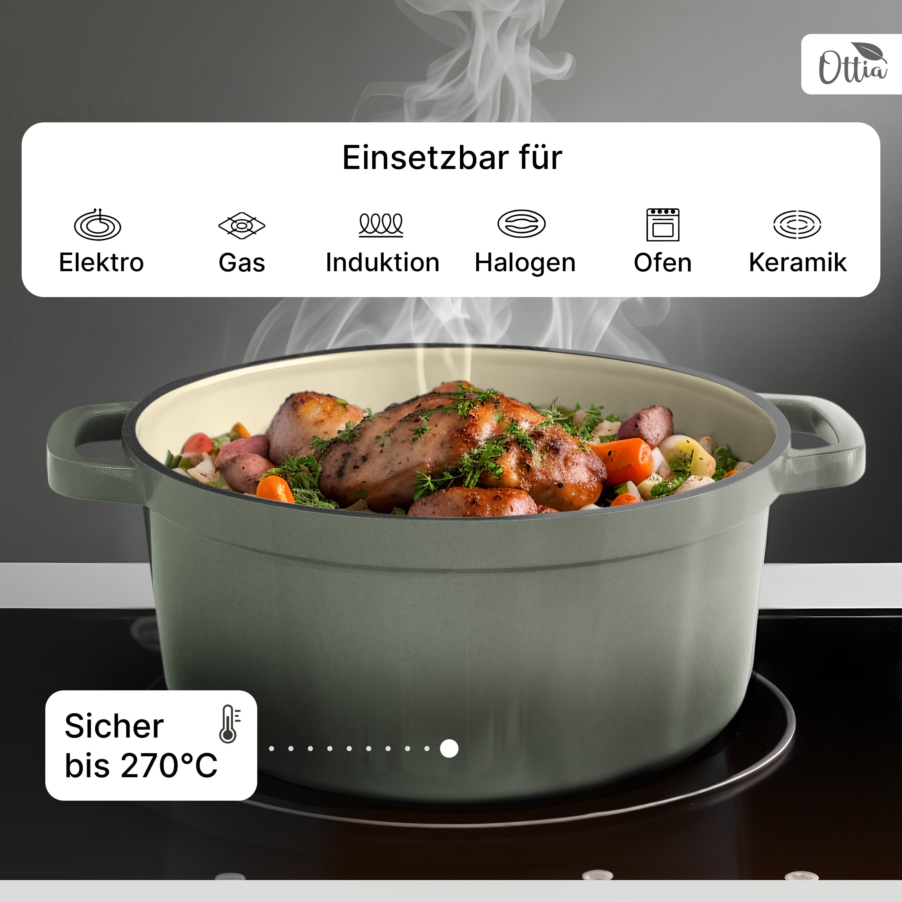 Emaillierter Gusseisen Topf, 22 cm, 3 Liter, ofenfest, Deckel mit Knauf