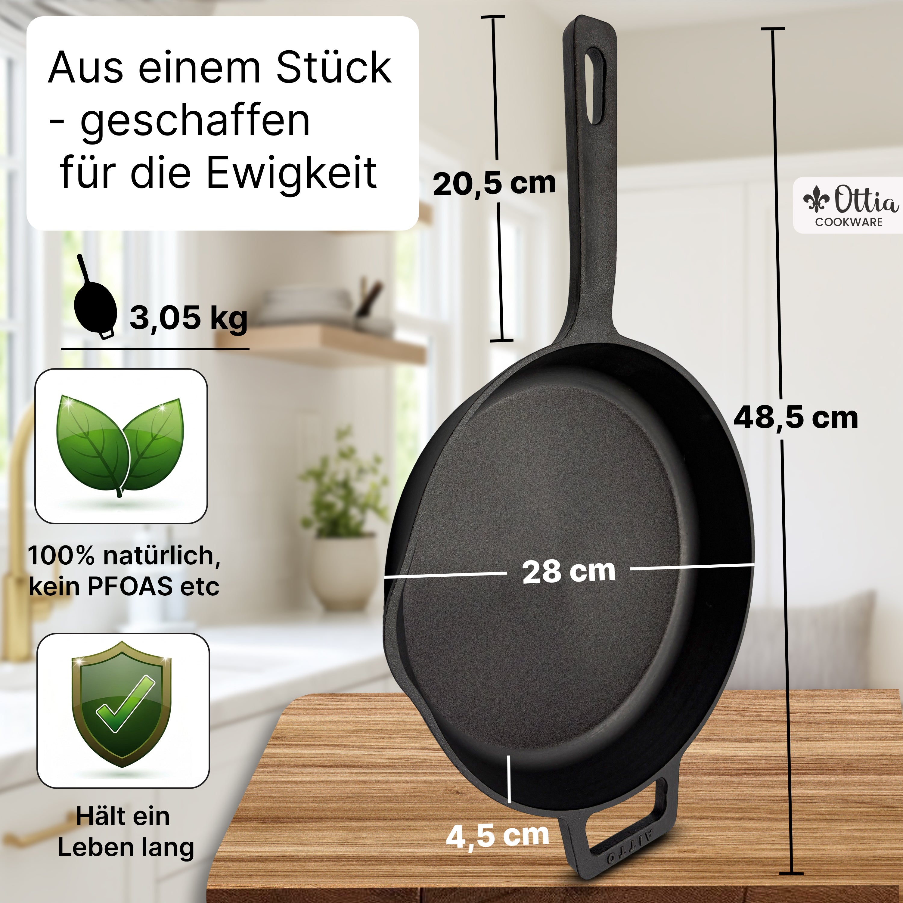 Reine Gusseisenpfanne 28cm mit eKochbuch
