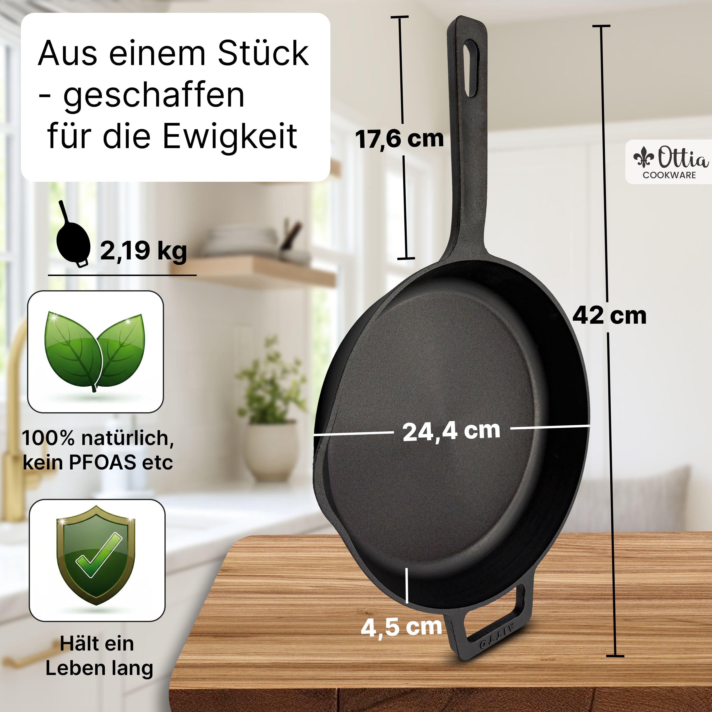 Reine Gusseisenpfanne 24cm mit eKochbuch, Pfannenwender, Hitzeschutz